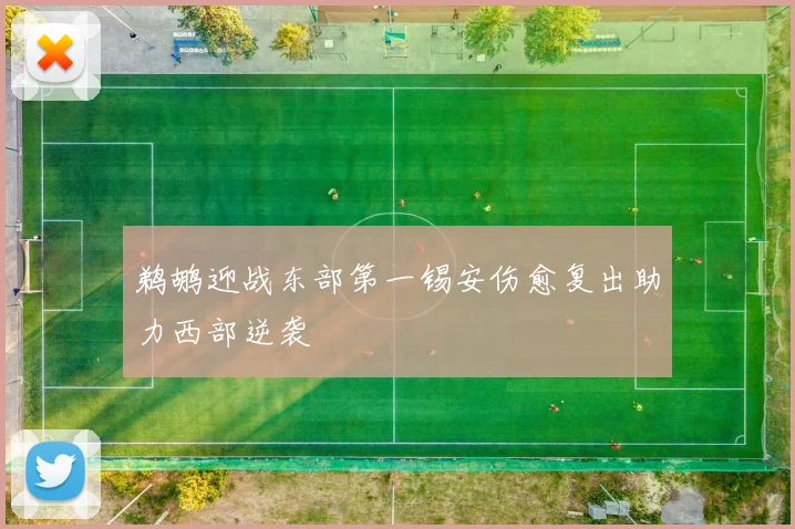 鹈鹕迎战东部第一锡安伤愈复出助力西部逆袭