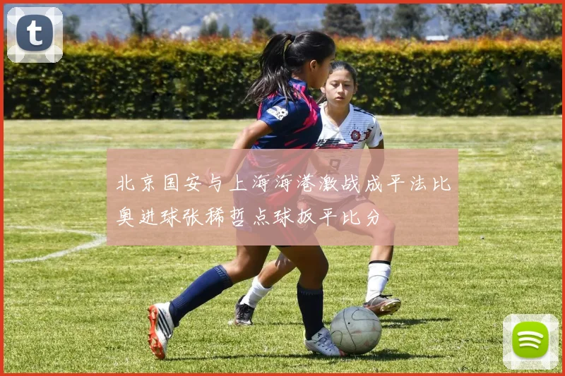 北京国安与上海海港激战成平法比奥进球张稀哲点球扳平比分