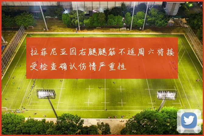 拉菲尼亚因右腿腿筋不适周六将接受检查确认伤情严重性